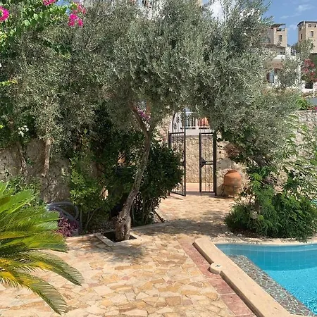 Joy, Kalamar Road, Kalkan